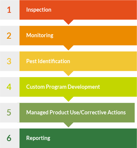 A graphic showing the 6 steps in Environmental Pest Control’s Green Pest Management System