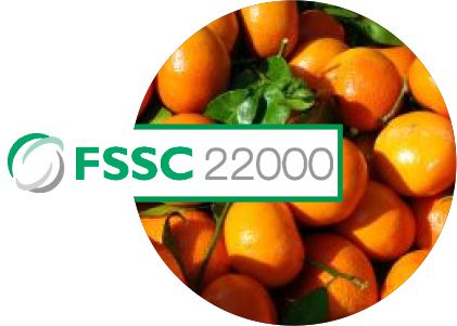 The Foundation for Food Safety Certification or FCCS 22000 logo