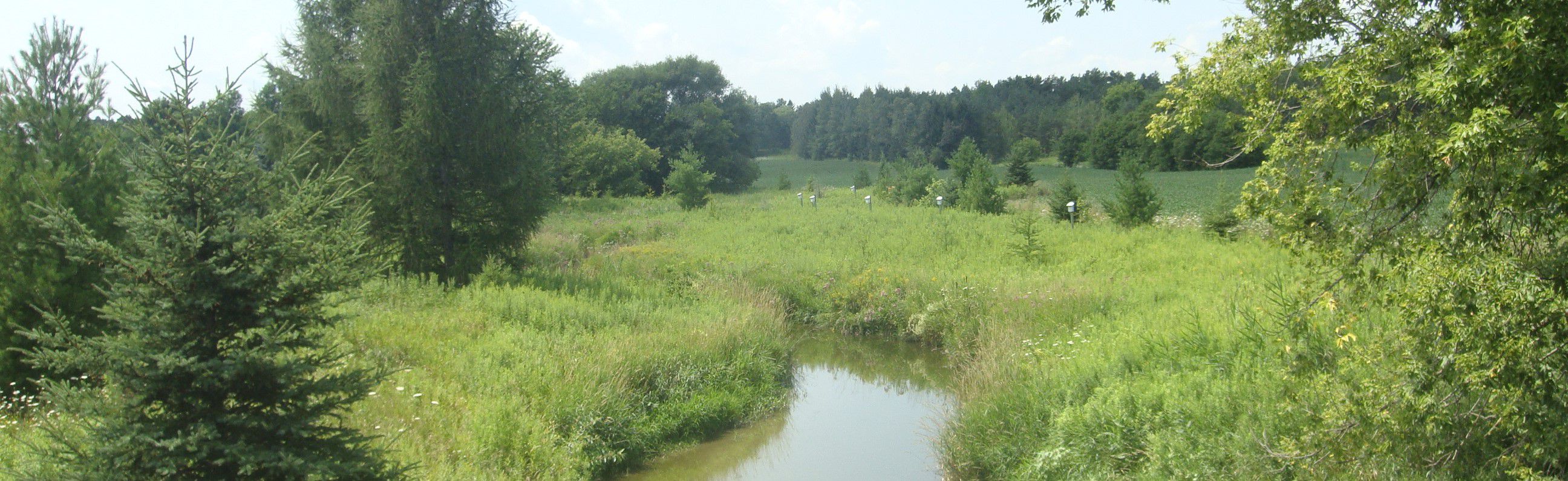 Environmental Pest Control is your local Beeton pest control company. Contact us for Exterminator Beeton Services.
