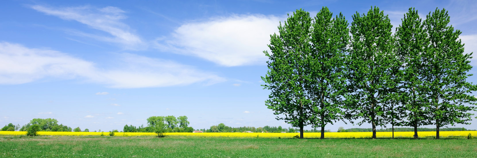 Environmental Pest Control is your local Bolton pest control company. Contact us for Exterminator Bolton Services.