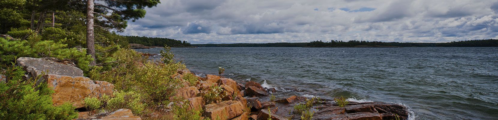 Environmental Pest Control is your local Bracebridge pest control company. Contact us for Exterminator Bracebridge Services.