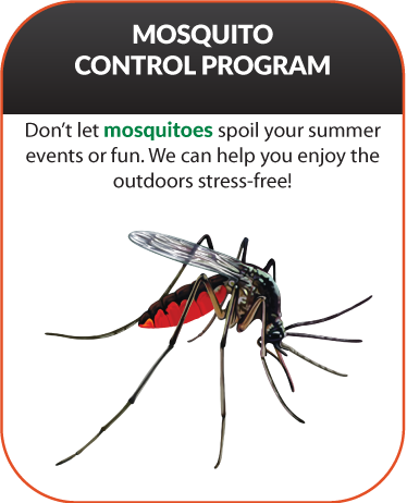 Environmental Pest control has a mosquito control program.