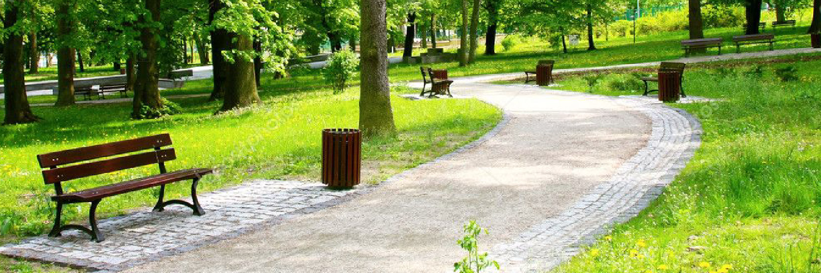 Environmental Pest Control is your local Thornhill pest control company. Contact us for Exterminator Thornhill Services.