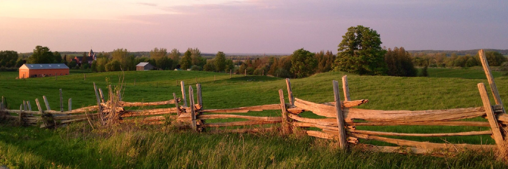 Environmental Pest Control is your local Tottenham pest control company. Contact us for Exterminator Tottenham Services.