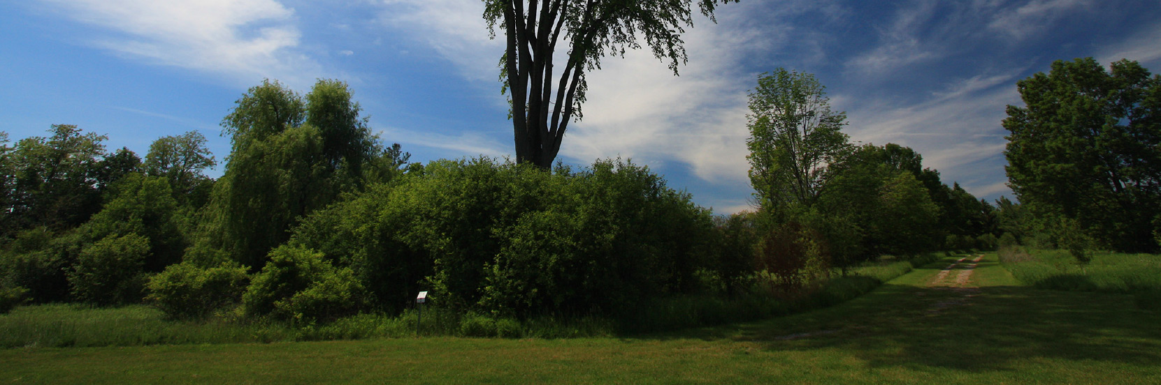 Environmental Pest Control is your local Nobleton pest control company. Contact us for Exterminator Nobleton Services.