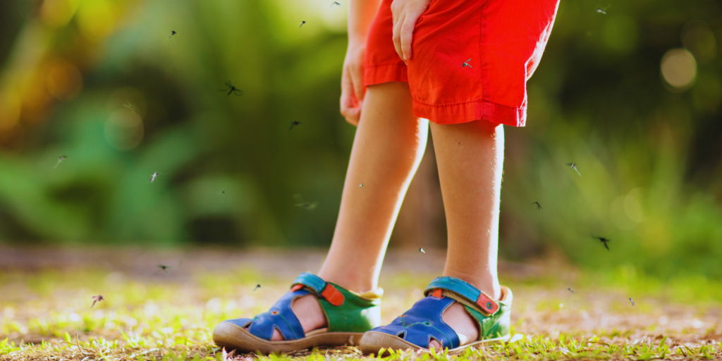 small child with mosquitoes on legs