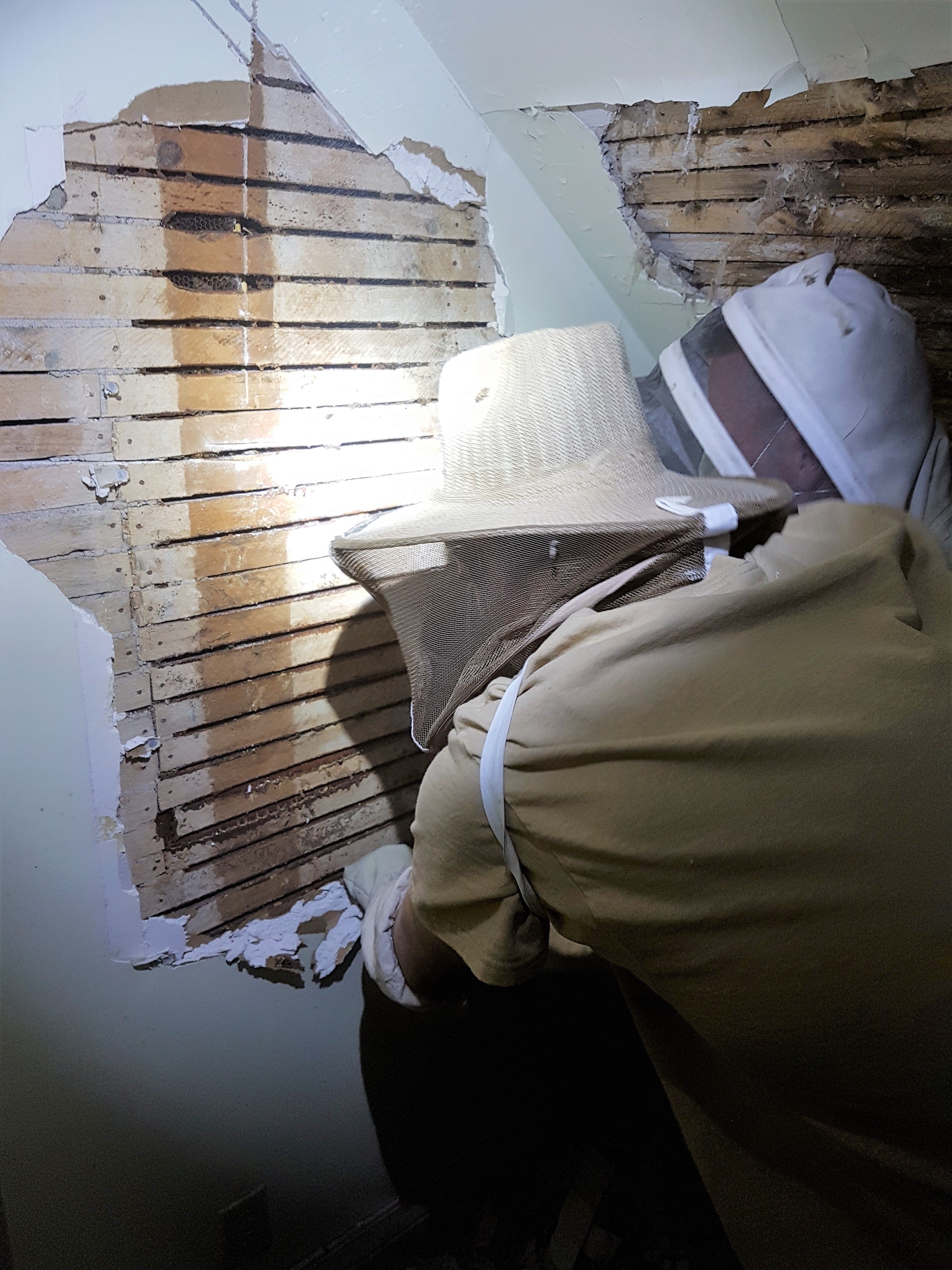 An Environmental Pest Control Beekeeper cutting a wall.